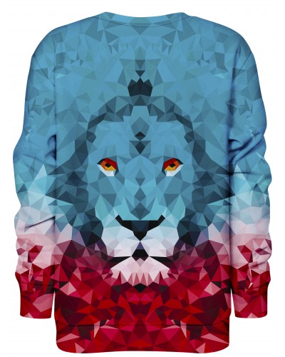 Hoodie without the hood Lion Triangle