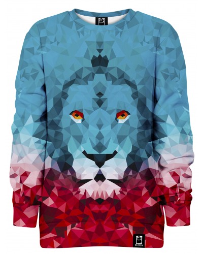 Hoodie without the hood Lion Triangle