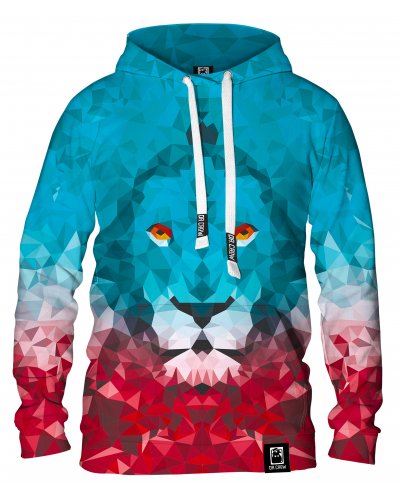 Hoodie with the hood Lion Triangle