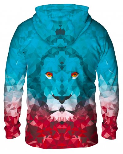 Hoodie with the hood Lion Triangle