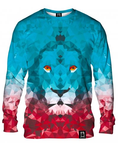 Hoodie without the hood Lion Triangle